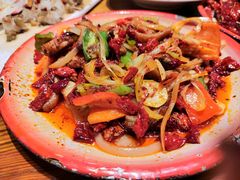 -柴窝堡22号辣子鸡·传承新疆菜