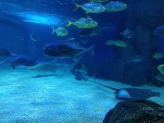 -常州海昌海洋探索馆