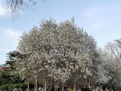 -睦南公园