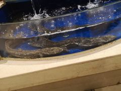 -海景壹号大酒店(滨湖店)