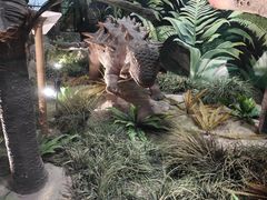 -陕西自然博物馆