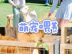 -栖露营camping·天幕烧烤·团建拓展·采摘营地
