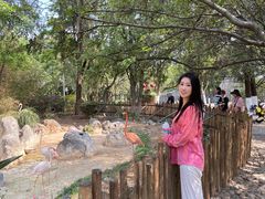 -昆明动物园