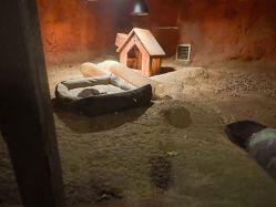 -酷嗒动物文化乐园(cutezoo西溪乐天城店)