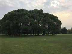 -东方绿舟景区