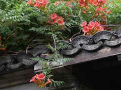-老门东历史文化街区