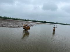 -宁波杭州湾国家湿地公园