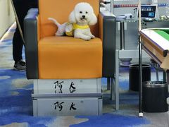 -阿K桌球(星光大道店)