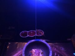 -地球美食剧场