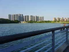 -白塘生态植物园