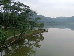 -顺峰山公园