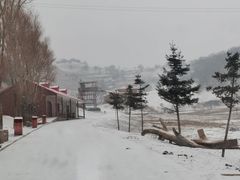 -关山草原