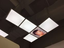 -GOLDEN HAIR儿童造型设计(丁香国际店)