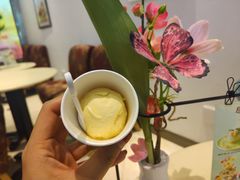-哈根达斯(石家庄北国店)