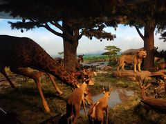 -国家自然博物馆