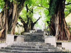 -龙环葡韵住宅式博物馆