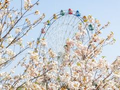 -观澜湖生态运动公社