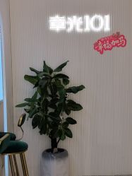 -章光101防脱养发荟