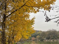 -白马涧龙池景区