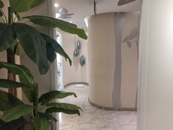 -健身堂科技美肌SPA