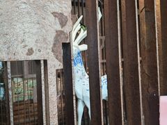-幸福里时光餐吧