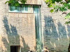 -都江堰中华大熊猫苑