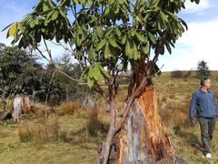 -硗碛藏寨·神木垒景区