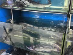 -滇香肴·云南菜蒸汽石锅鱼(云南北路店)