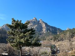-崂山仰口游览区