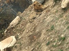 -西安秦岭野生动物园