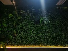 -宫七SPA·高端Massage(浦东大道店)
