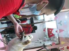 -FAELING PETS美天灵宠物(富力广场店)
