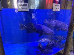-开海·红岛海鲜虾水饺(石老人店)
