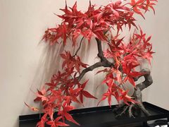 -阿胖龙虾(罍街店)