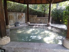 -天目湖涵田半山温泉