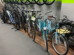 -道路口单车爱瓦士dahon大行