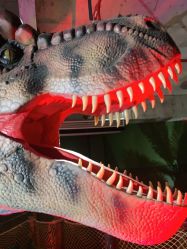 -恐龙探索乐园(磁器口店)