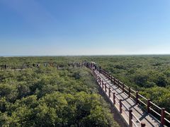 -北海金海湾红树林生态旅游区