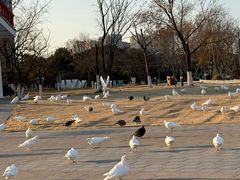 -在海一方公园