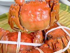 -蟹天蟹地农家菜·阳澄湖大闸蟹(浅水湾店)