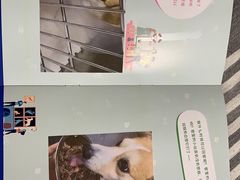 -美联众合动物医院·24h转诊中心