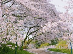 -杭州少年儿童公园