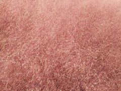 -羊亭河湿地公园