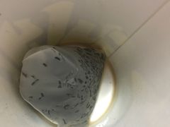 -桂桂茶(金谊广场店)