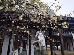 -江宁织造博物馆