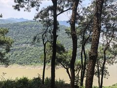 -铁山坪森林公园