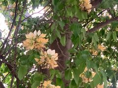 -南丰汇(新港东路店)