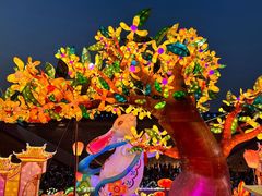 -西安城墙·碑林历史文化景区