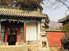 -泰山风景名胜区-普照寺