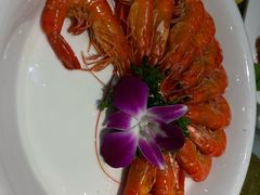 -齐家花园大酒店(宝山店)